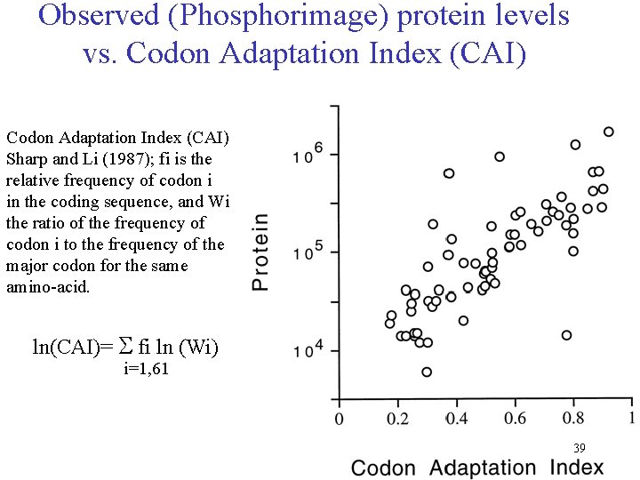 Observed (Phosphorimage) protein levels vs. Codon Adaptation Index (CAI) Sharp and Li (1987); fi