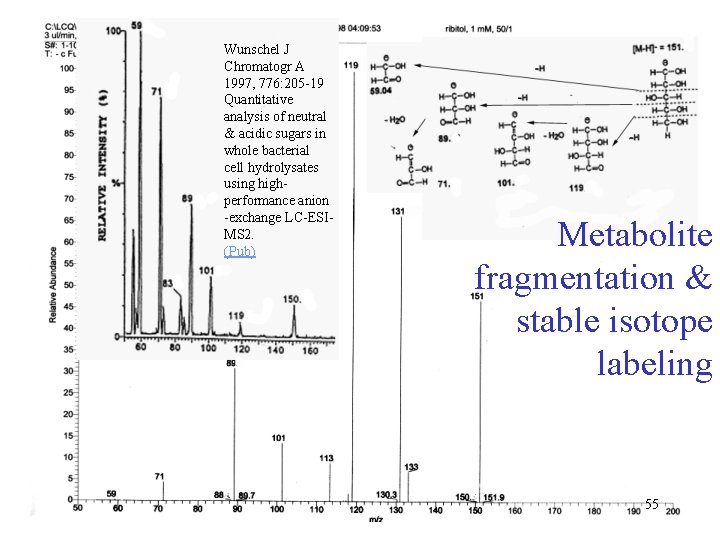 Wunschel J Chromatogr A 1997, 776: 205 -19 Quantitative analysis of neutral & acidic