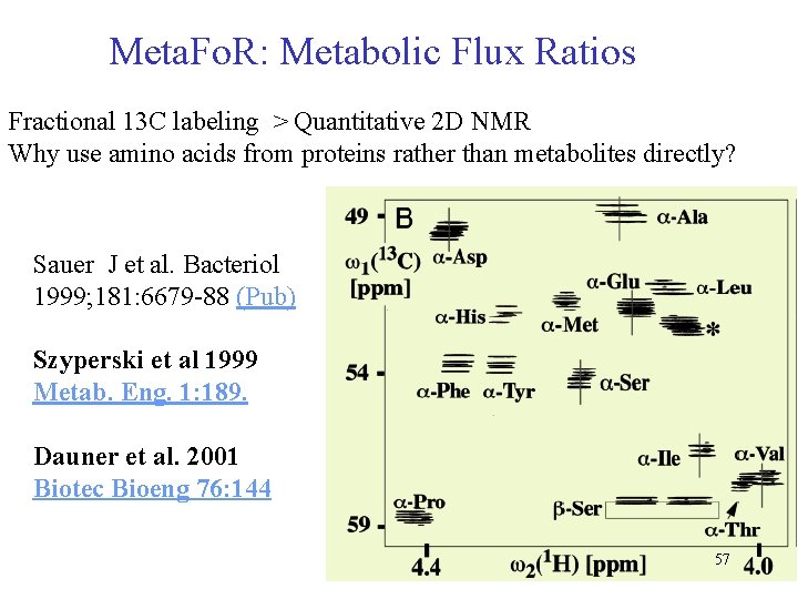 Meta. Fo. R: Metabolic Flux Ratios Fractional 13 C labeling > Quantitative 2 D