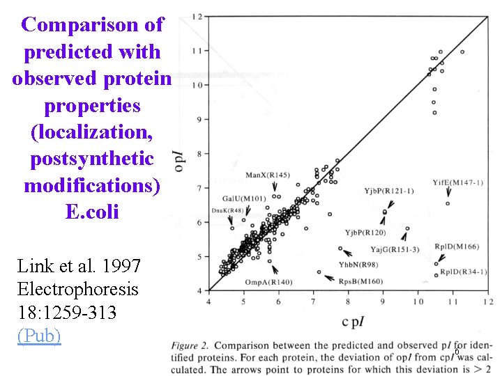 Comparison of predicted with observed protein properties (localization, postsynthetic modifications) E. coli Link et
