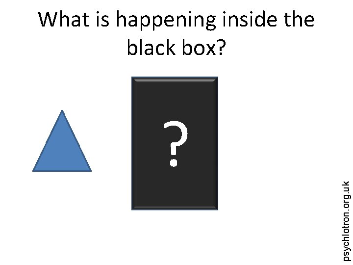 ? psychlotron. org. uk What is happening inside the black box? 