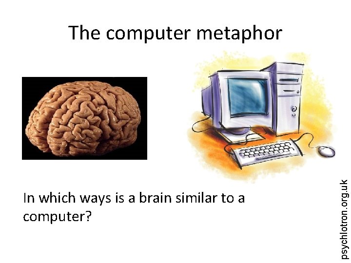 In which ways is a brain similar to a computer? psychlotron. org. uk The