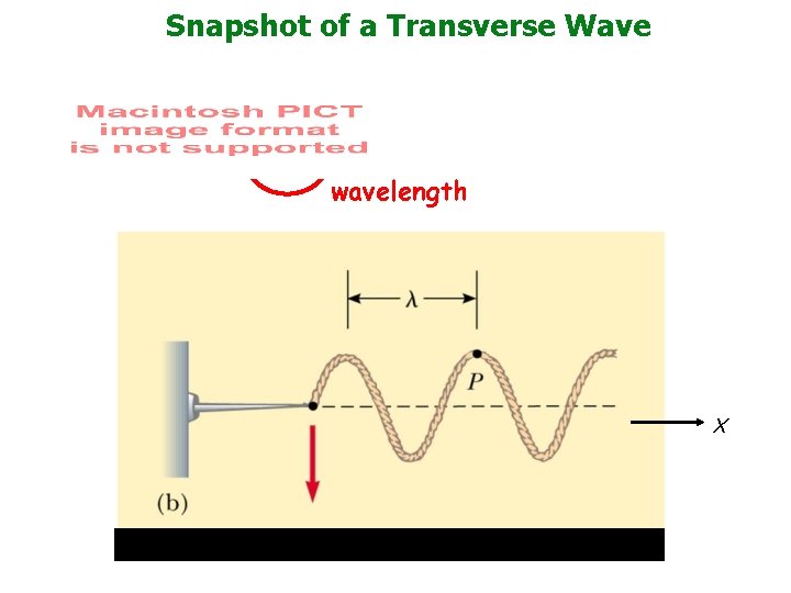 Snapshot of a Transverse Wave wavelength x 