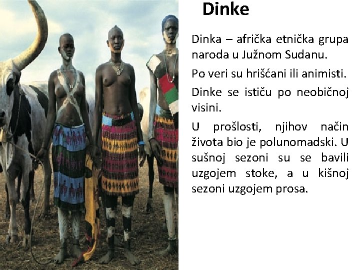 Dinke Dinka – afrička etnička grupa naroda u Južnom Sudanu. Po veri su hrišćani