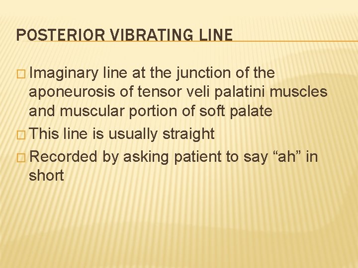 POSTERIOR VIBRATING LINE � Imaginary line at the junction of the aponeurosis of tensor