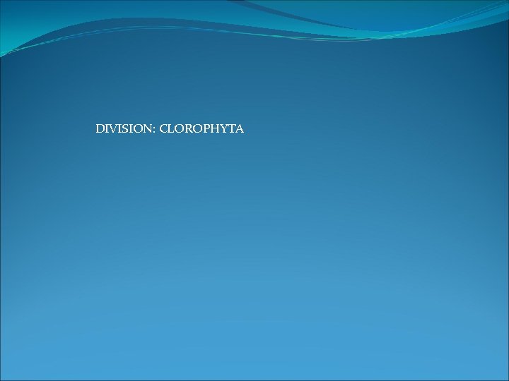 DIVISION: CLOROPHYTA 