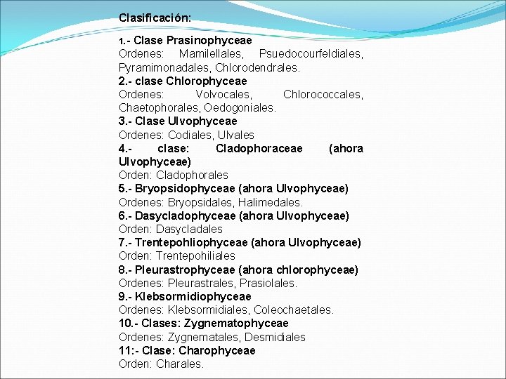 Clasificación: 1. - Clase Prasinophyceae Ordenes: Mamilellales, Psuedocourfeldiales, Pyramimonadales, Chlorodendrales. 2. - clase Chlorophyceae