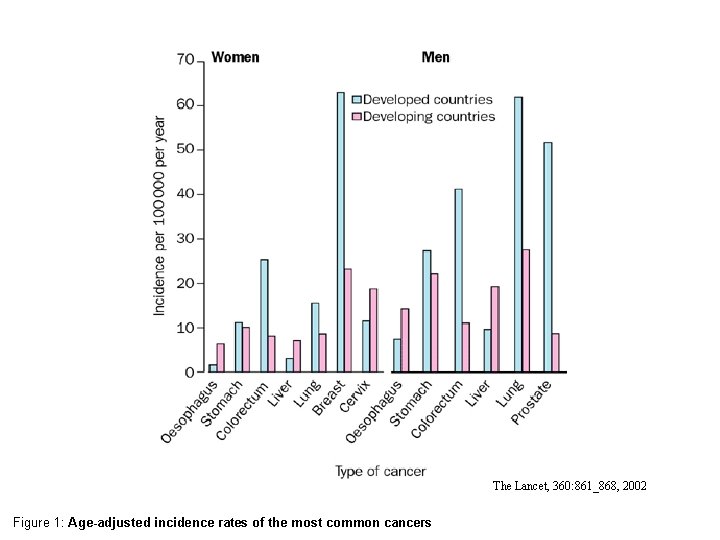 The Lancet, 360: 861_868, 2002 Figure 1: Age-adjusted incidence rates of the most common