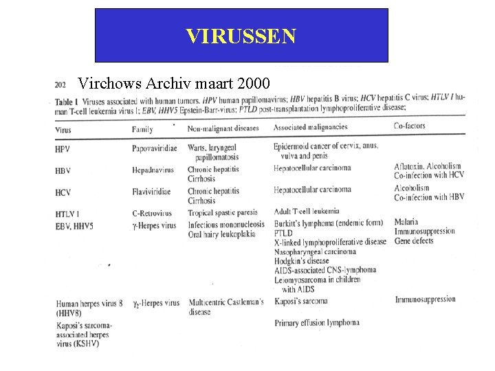 VIRUSSEN Virchows Archiv maart 2000 