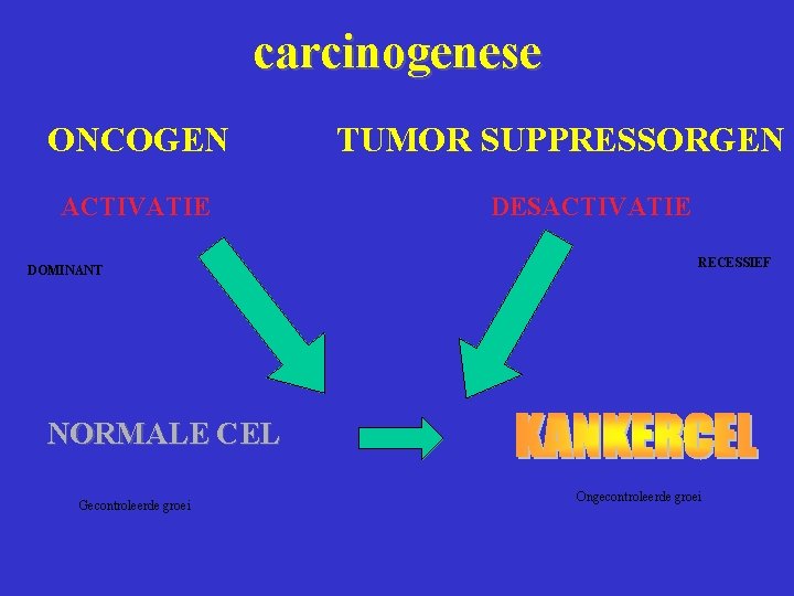 carcinogenese ONCOGEN ACTIVATIE DOMINANT TUMOR SUPPRESSORGEN DESACTIVATIE RECESSIEF NORMALE CEL Gecontroleerde groei Ongecontroleerde groei