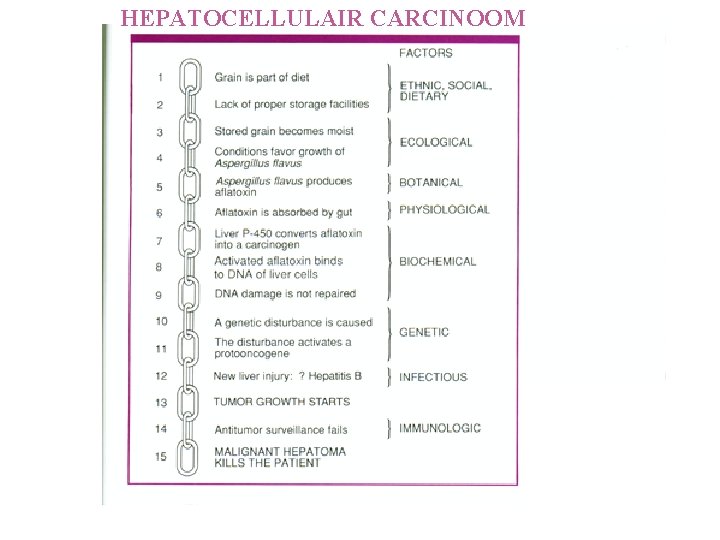 HEPATOCELLULAIR CARCINOOM 