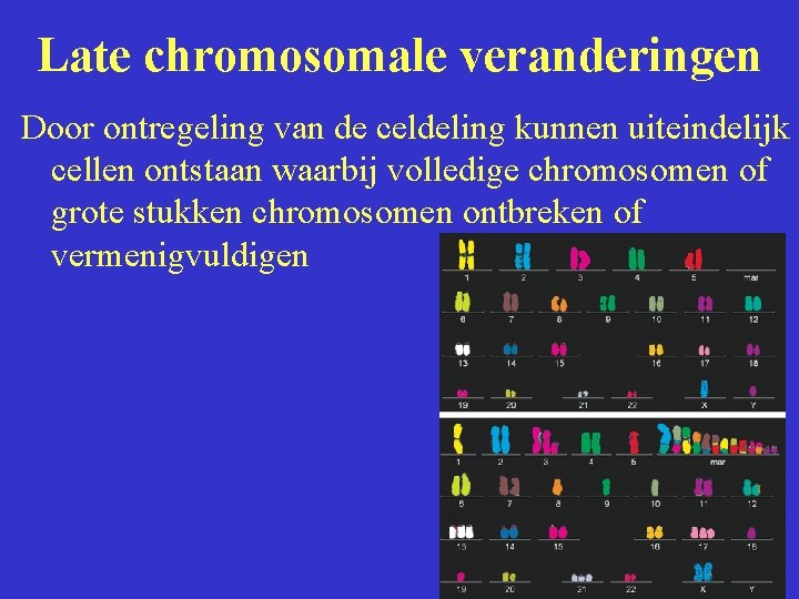 Late chromosomale veranderingen Door ontregeling van de celdeling kunnen uiteindelijk cellen ontstaan waarbij volledige