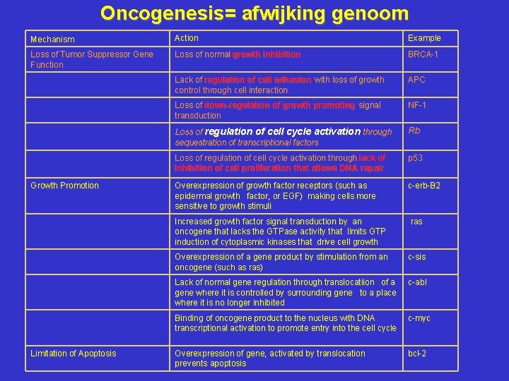 Oncogenesis= afwijking genoom Mechanism Action Loss of Tumor Suppressor Gene Function Loss of normal