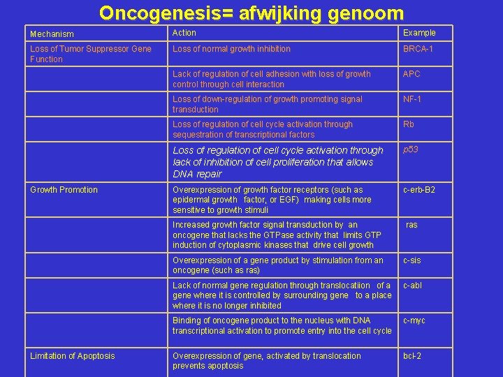 Oncogenesis= afwijking genoom Mechanism Action Example Loss of Tumor Suppressor Gene Function Loss of