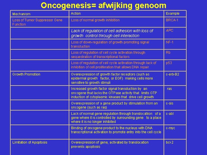 Oncogenesis= afwijking genoom Mechanism Action Example Loss of Tumor Suppressor Gene Function Loss of