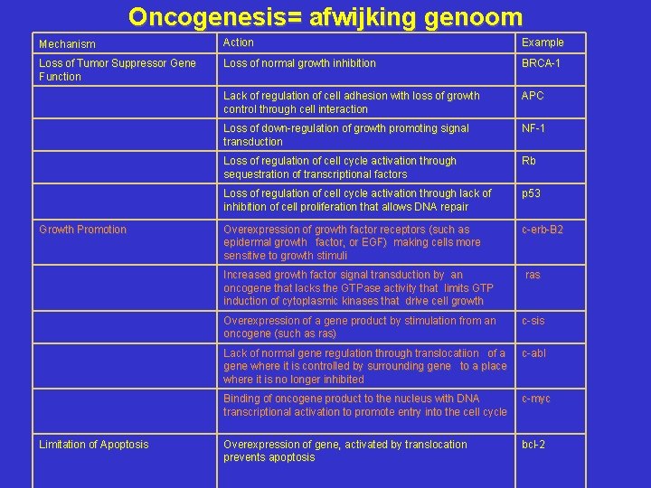 Oncogenesis= afwijking genoom Mechanism Action Example Loss of Tumor Suppressor Gene Function Loss of
