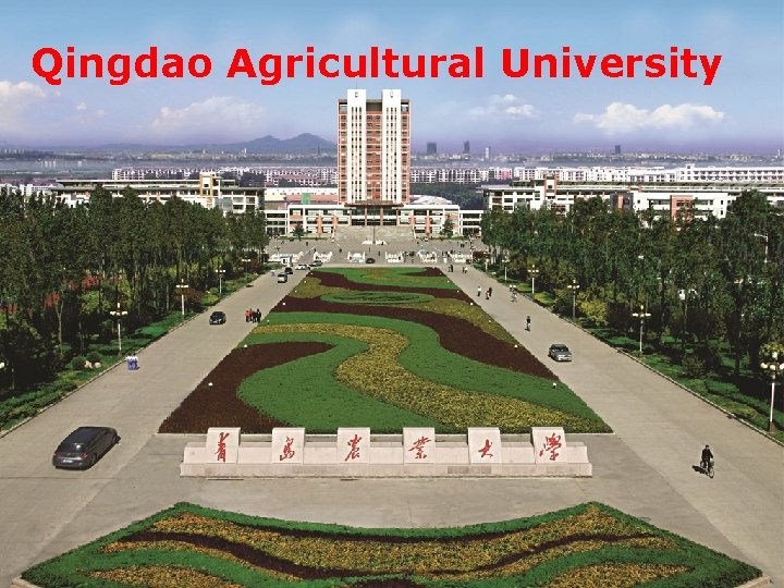 Qingdao Agricultural University 