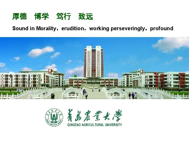 厚德 博学 笃行 致远 Sound in Morality，erudition，working perseveringly，profound 