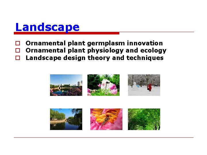 Landscape o Ornamental plant germplasm innovation o Ornamental plant physiology and ecology o Landscape