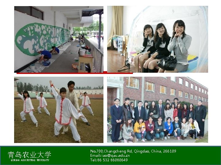 青岛农业大学 QINGDAO AGRICULTURAL UNIVERSITY No. 700, Changcheng Rd, Qingdao, China, 266109 Email: iao@qau. edu.