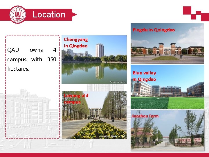 Location Pingdu in Qoingdao QAU owns 4 Chengyang in Qingdao campus with 350 hectares.