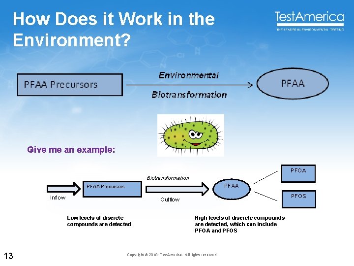 How Does it Work in the Environment? Give me an example: PFOA Biotransformation PFAA