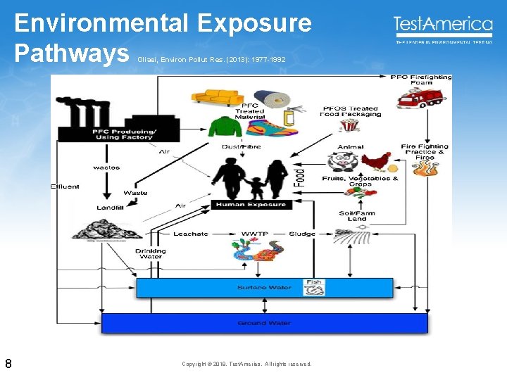 Environmental Exposure Pathways Oliaei, Environ Pollut Res. (2013): 1977 -1992 8 Copyright © 2018,