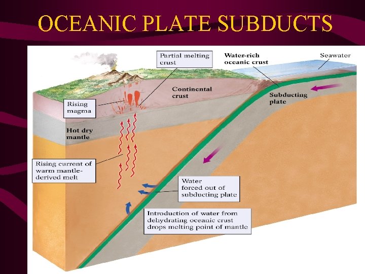 OCEANIC PLATE SUBDUCTS 