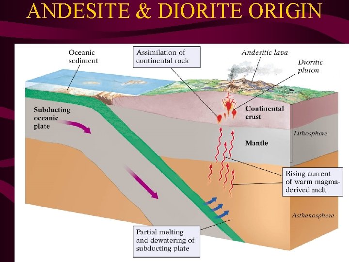 ANDESITE & DIORITE ORIGIN 