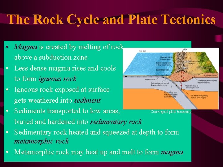 The Rock Cycle and Plate Tectonics • Magma is created by melting of rock