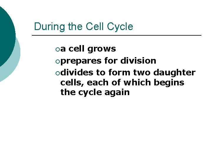 During the Cell Cycle ¡a cell grows ¡ prepares for division ¡ divides to