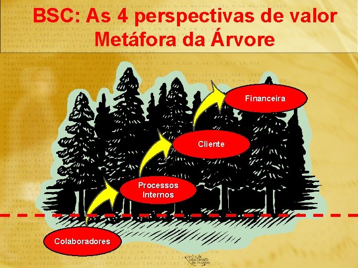 BSC: As 4 perspectivas de valor Metáfora da Árvore Financeira Cliente Processos Internos Colaboradores