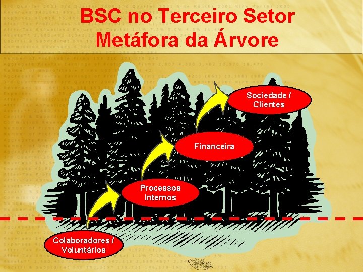 BSC no Terceiro Setor Metáfora da Árvore Sociedade / Clientes Financeira Processos Internos Colaboradores