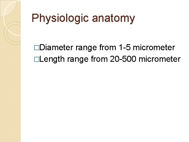 Physiologic anatomy �Diameter range from 1 -5 micrometer �Length range from 20 -500 micrometer Physiologic anatomy �Diameter range from 1 -5 micrometer �Length range from 20 -500 micrometer