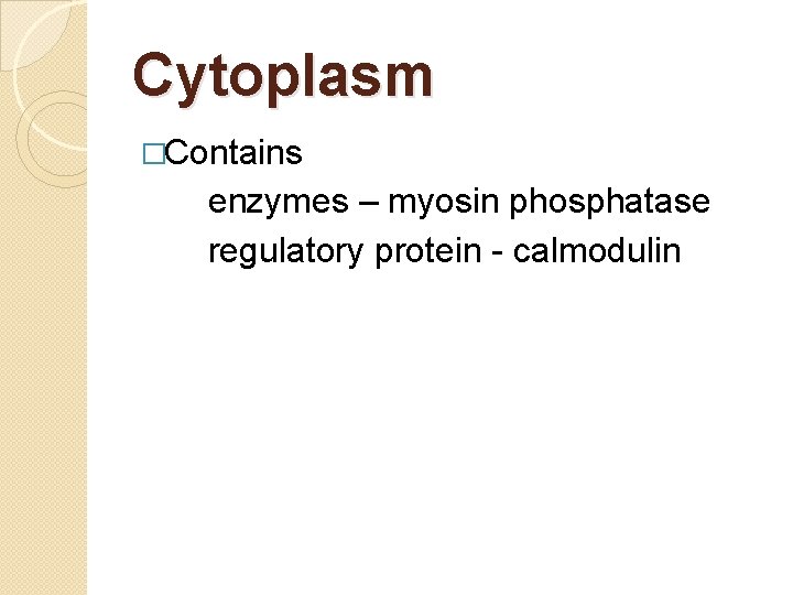 Cytoplasm �Contains enzymes – myosin phosphatase regulatory protein - calmodulin Cytoplasm �Contains enzymes – myosin phosphatase regulatory protein - calmodulin