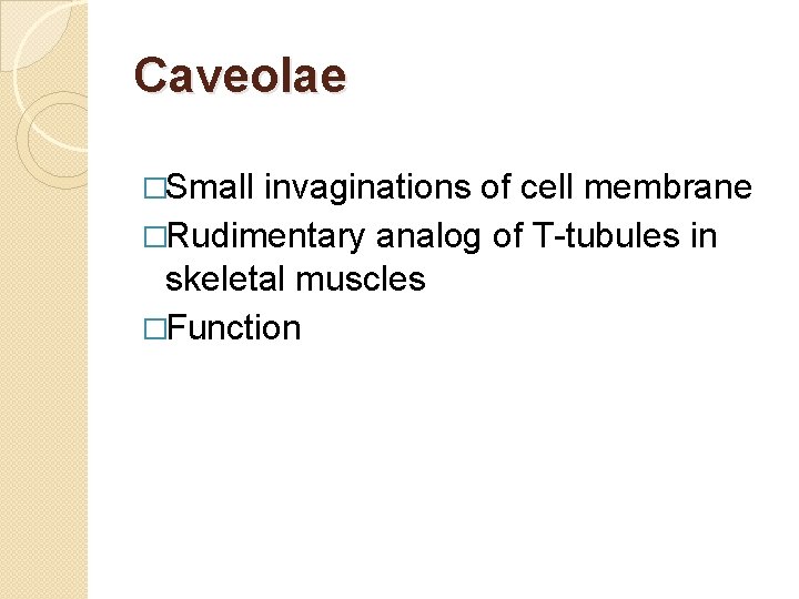Caveolae �Small invaginations of cell membrane �Rudimentary analog of T-tubules in skeletal muscles �Function Caveolae �Small invaginations of cell membrane �Rudimentary analog of T-tubules in skeletal muscles �Function