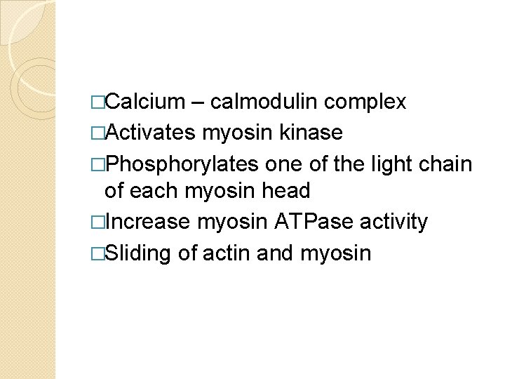 �Calcium – calmodulin complex �Activates myosin kinase �Phosphorylates one of the light chain of �Calcium – calmodulin complex �Activates myosin kinase �Phosphorylates one of the light chain of