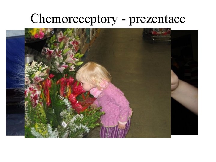 Chemoreceptory - prezentace • Všechny informace o změně prostředí jsou zachytávané analyzátory • Každé