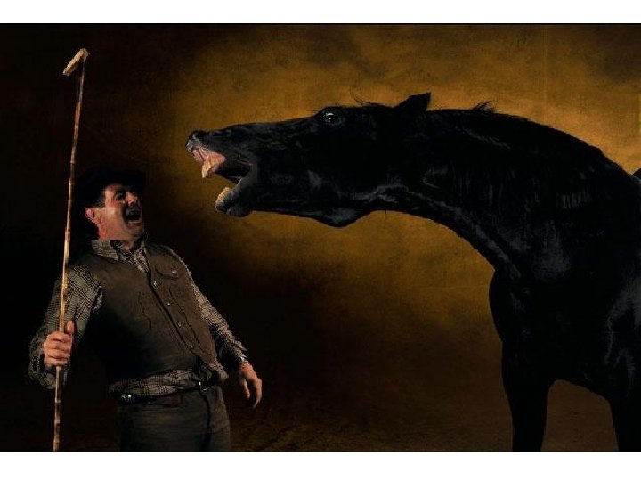 Jacobsonův orgán (organum vomeronasale) • • U nižších obratlovců, v omezené míře u savců