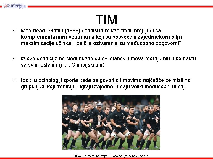 TIM • Moorhead i Griffin (1998) definišu tim kao “mali broj ljudi sa komplementarnim