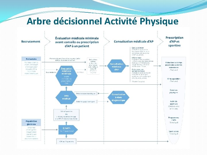 Arbre décisionnel Activité Physique 