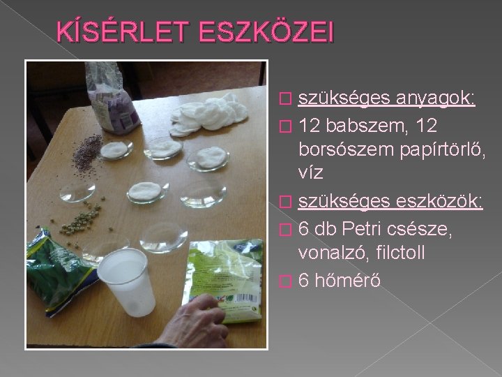 KÍSÉRLET ESZKÖZEI szükséges anyagok: � 12 babszem, 12 borsószem papírtörlő, víz � szükséges eszközök: