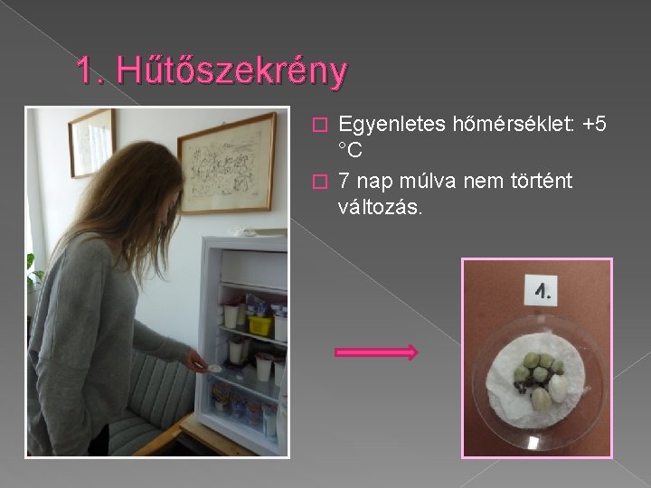 1. Hűtőszekrény Egyenletes hőmérséklet: +5 °C � 7 nap múlva nem történt változás. �