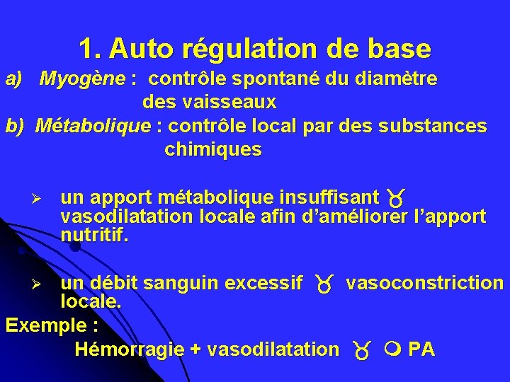 1. Auto régulation de base a) Myogène : contrôle spontané du diamètre des vaisseaux