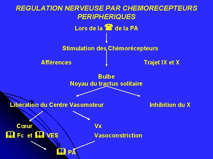 REGULATION NERVEUSE PAR CHEMORECEPTEURS PERIPHERIQUES Lors de la PA Stimulation des Chémorécepteurs Afférences Trajet