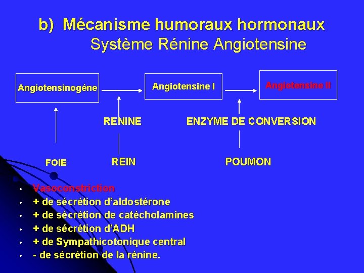 b) Mécanisme humoraux hormonaux Système Rénine Angiotensinogéne Angiotensine II RENINE ENZYME DE CONVERSION REIN