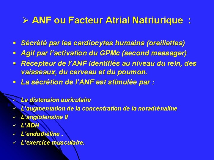 Ø ANF ou Facteur Atrial Natriurique : Sécrété par les cardiocytes humains (oreillettes) Agit Ø ANF ou Facteur Atrial Natriurique : Sécrété par les cardiocytes humains (oreillettes) Agit