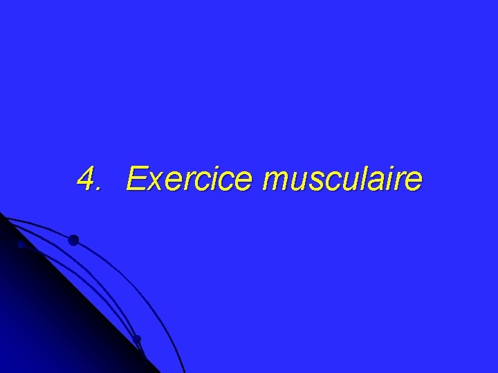 4. Exercice musculaire 