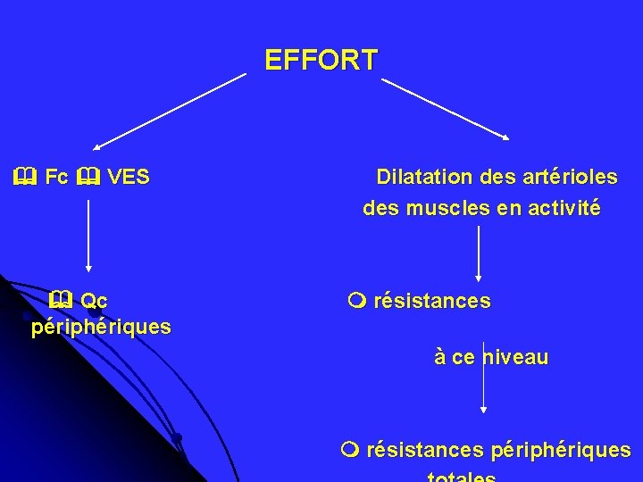 EFFORT Fc VES Dilatation des artérioles des muscles en activité Qc résistances périphériques à