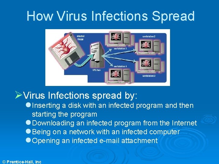 How Virus Infections Spread ØVirus Infections spread by: l Inserting a disk with an How Virus Infections Spread ØVirus Infections spread by: l Inserting a disk with an